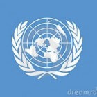 De Verenigde Naties: lidstaten en organisatie