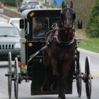 Trouwen bij de Amish