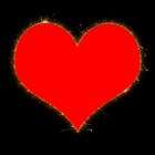 Het hart - Het universele symbool voor de liefde