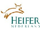 Stichting Heifer Nederland, dieren naar ontwikkelingslanden