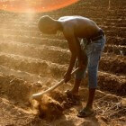 Afrikaanse boer worstelt opnieuw met mondiaal probleem