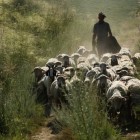 De Oeigoeren – Inwoners van Xinjiang van Turkse afkomst