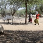 Alles over Somalië, piraterij en de stammenstrijd