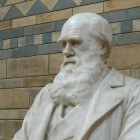 Evolutietheorie Charles Darwin: selectiemechanismen