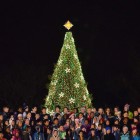 Nationale Kerstboom – National Christmas Tree in Washington