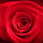 Romantische tips voor een onvergetelijke, goedkope Valentijn