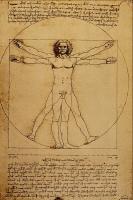 Vitruviusman door Leonardo da Vinci / Bron: Leonardo da Vinci, Wikimedia Commons (Publiek domein)