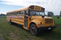 Een typisch Amerikaanse 'school bus' / Bron: Rabsbenja, Pixabay