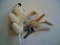 De sleutels van de sleutelbos hebben verschillende gemarkeerde vormen / Bron: Kim Bols, http://www.visuelehandicap.be