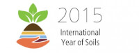 Internationale logo